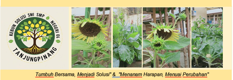 FOTO KEBUN SOLUSI